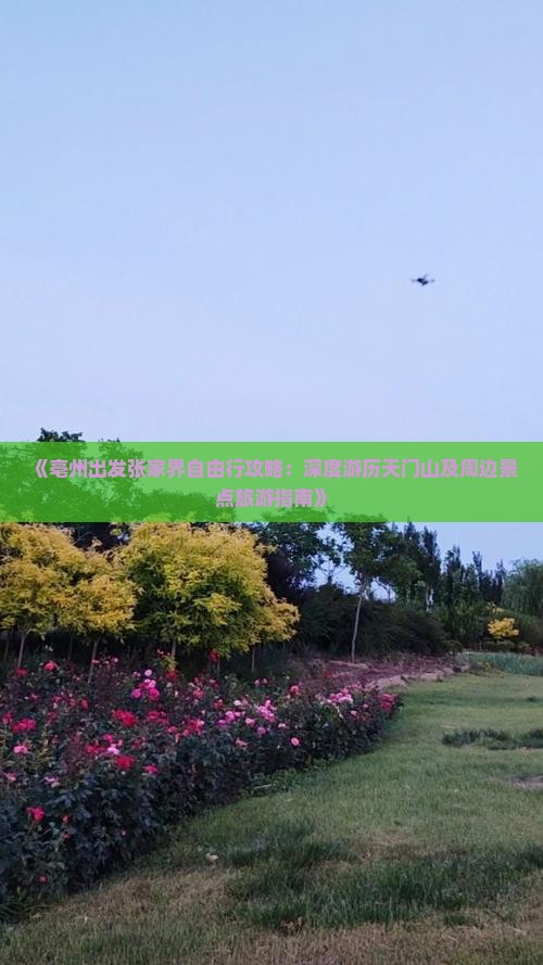 《亳州出发张家界自由行攻略：深度游历天门山及周边景点旅游指南》