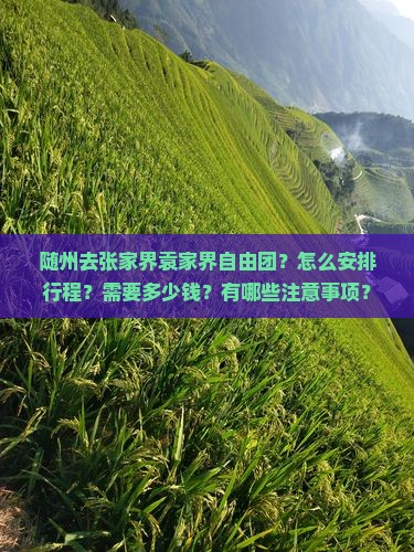 随州去张家界袁家界自由团？怎么安排行程？需要多少钱？有哪些注意事项？