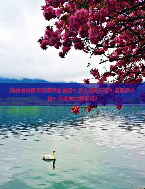 随州去张家界袁家界自由团？怎么安排行程？需要多少钱？有哪些注意事项？