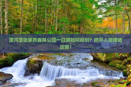漯河至张家界森林公园一日游如何规划？避开人潮拥堵攻略！