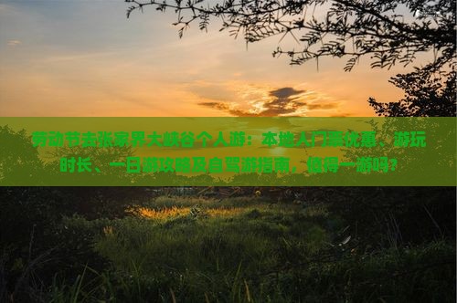 劳动节去张家界大峡谷个人游：本地人门票优惠、游玩时长、一日游攻略及自驾游指南，值得一游吗？