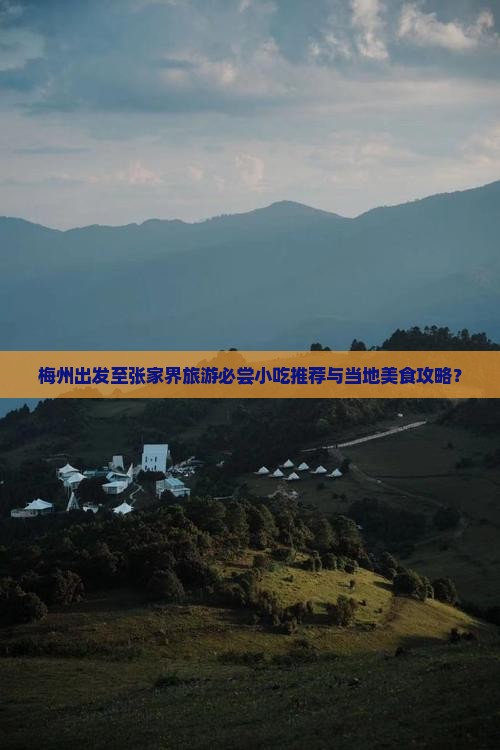 梅州出发至张家界旅游必尝小吃推荐与当地美食攻略？