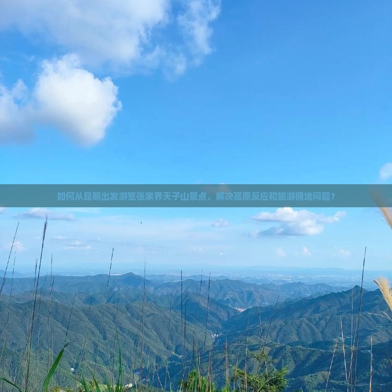 如何从昆明出发游览张家界天子山景点，解决高原反应和旅游拥堵问题？
