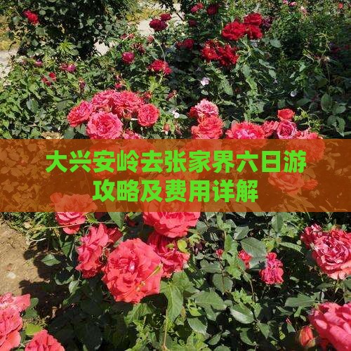 大兴安岭去张家界六日游攻略及费用详解