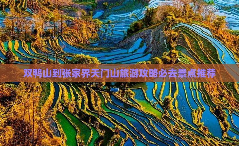 双鸭山到张家界天门山旅游攻略必去景点推荐