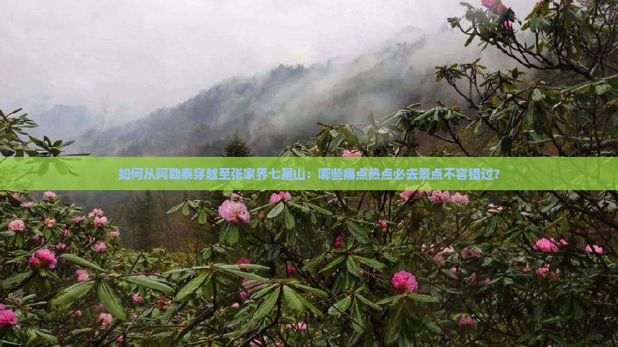 如何从阿勒泰穿越至张家界七星山：哪些痛点热点必去景点不容错过？
