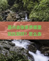 嘉兴去张家界哪里玩比较好？怎么去？高铁要几个小时
