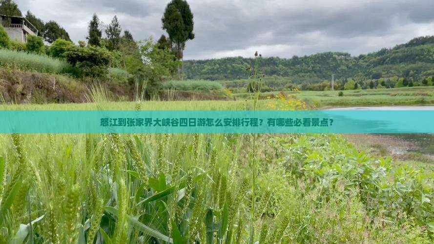怒江到张家界大峡谷四日游怎么安排行程？有哪些必看景点？