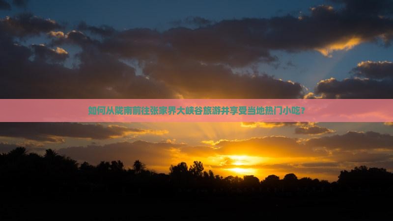 如何从陇南前往张家界大峡谷旅游并享受当地热门小吃？