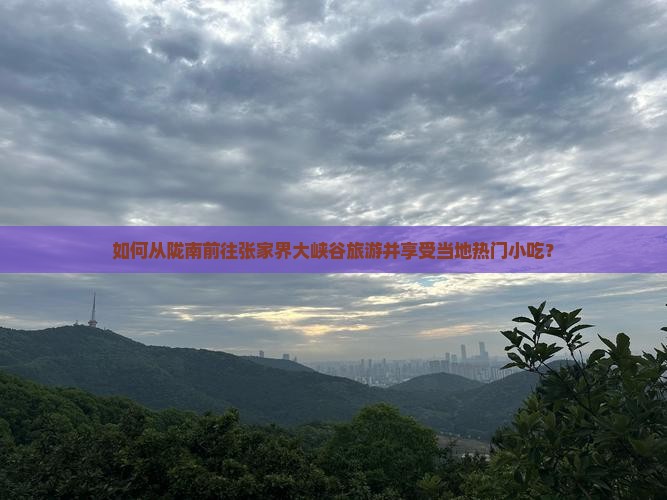 如何从陇南前往张家界大峡谷旅游并享受当地热门小吃？