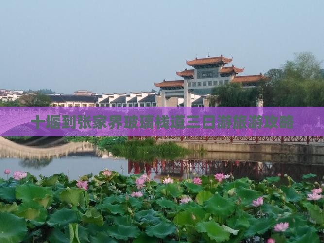 十堰到张家界玻璃栈道三日游旅游攻略