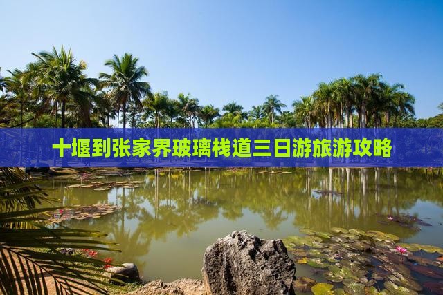 十堰到张家界玻璃栈道三日游旅游攻略