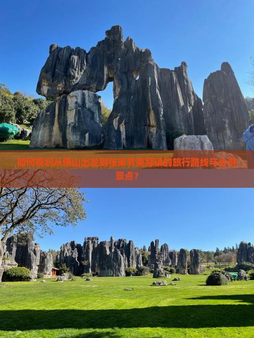 如何规划从佛山出发到张家界芙蓉镇的旅行路线与必游景点？