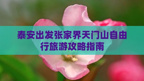 泰安出发张家界天门山自由行旅游攻略指南