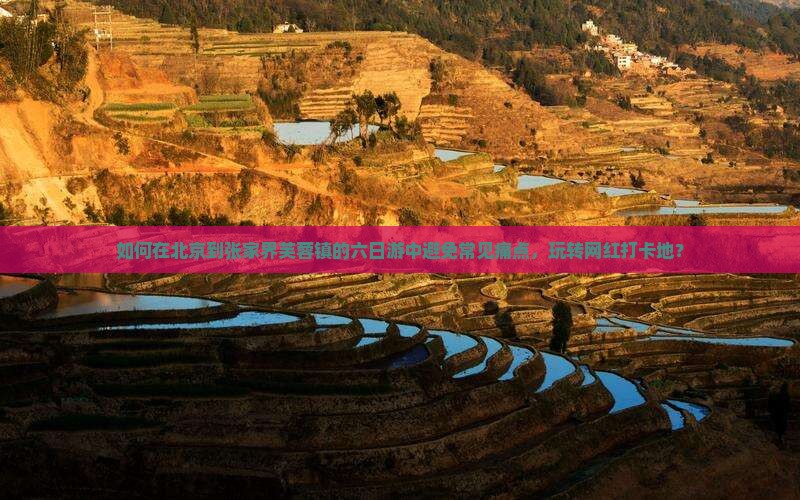 如何在北京到张家界芙蓉镇的六日游中避免常见痛点，玩转网红打卡地？