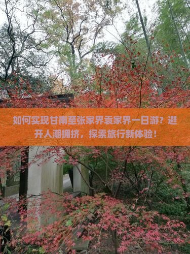 如何实现甘南至张家界袁家界一日游？避开人潮拥挤，探索旅行新体验！