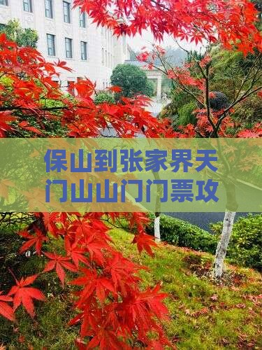 保山到张家界天门山山门门票攻略