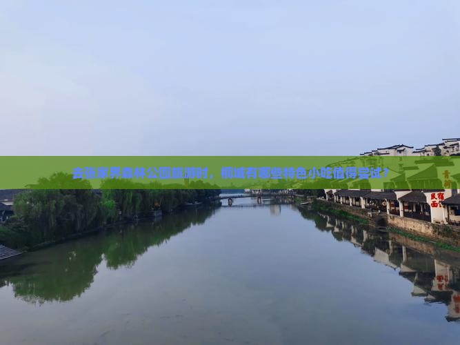 去张家界森林公园旅游时，桐城有哪些特色小吃值得尝试？