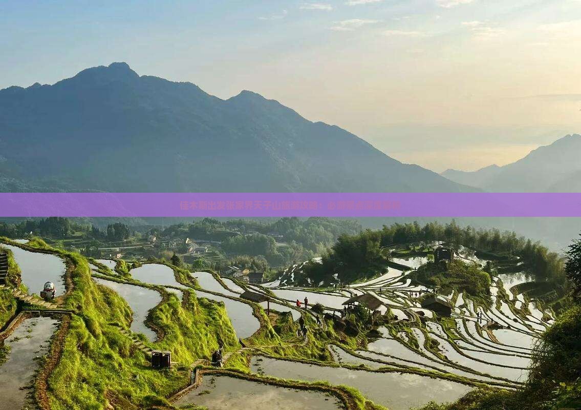 佳木斯出发张家界天子山旅游攻略：必游景点深度解析