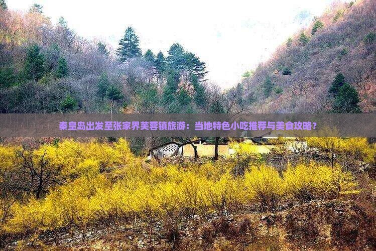 秦皇岛出发至张家界芙蓉镇旅游:当地特色小吃推荐与美食攻略? 秦皇岛出发至张家界芙蓉镇旅游:当地特色小吃推荐与美食攻略?