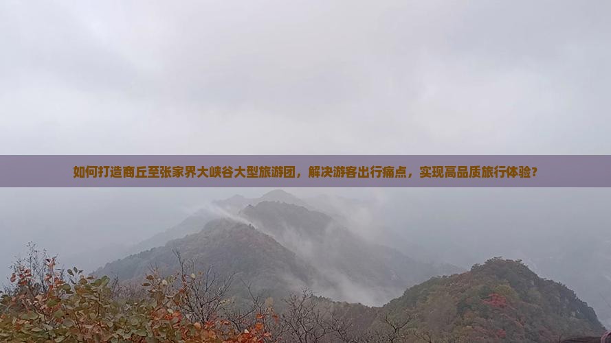 如何打造商丘至张家界大峡谷大型旅游团，解决游客出行痛点，实现高品质旅行体验？