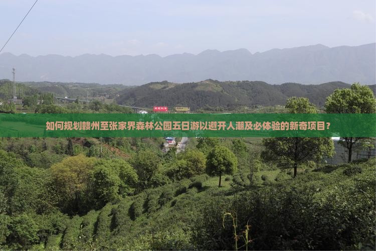 如何规划赣州至张家界森林公园五日游以避开人潮及必体验的新奇项目？