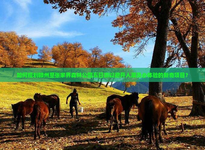 如何规划赣州至张家界森林公园五日游以避开人潮及必体验的新奇项目？