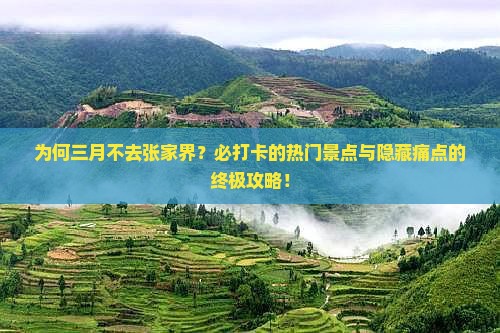 为何三月不去张家界？必打卡的热门景点与隐藏痛点的终极攻略！