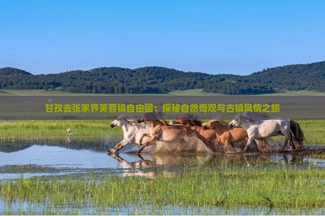 甘孜去张家界芙蓉镇自由团：探秘自然奇观与古镇风情之旅