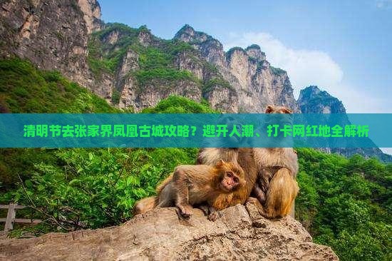 清明节去张家界凤凰古城攻略？避开人潮、打卡网红地全解析