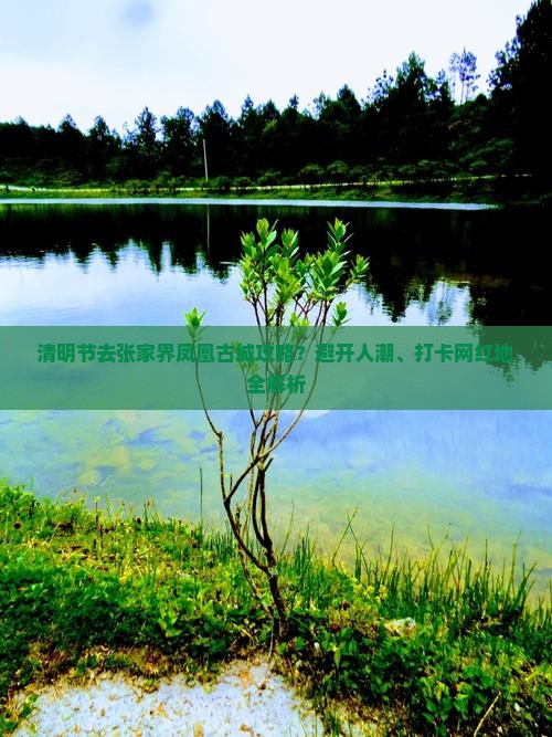 清明节去张家界凤凰古城攻略？避开人潮、打卡网红地全解析