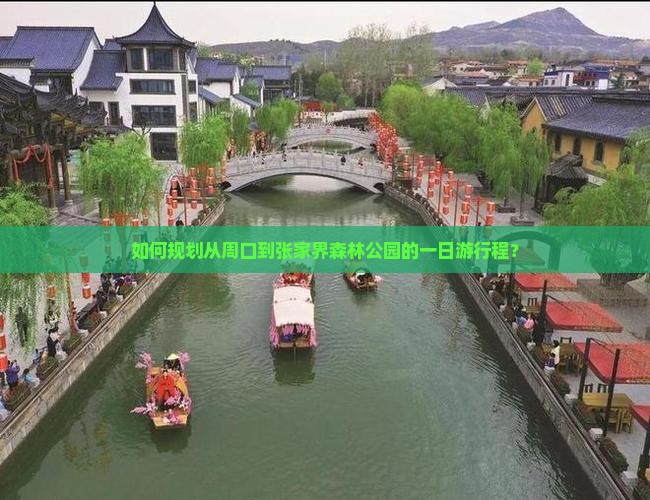如何规划从周口到张家界森林公园的一日游行程？