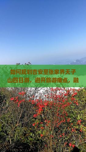 如何规划吉安至张家界天子山四日游，避开旅游痛点，融入热词新词？