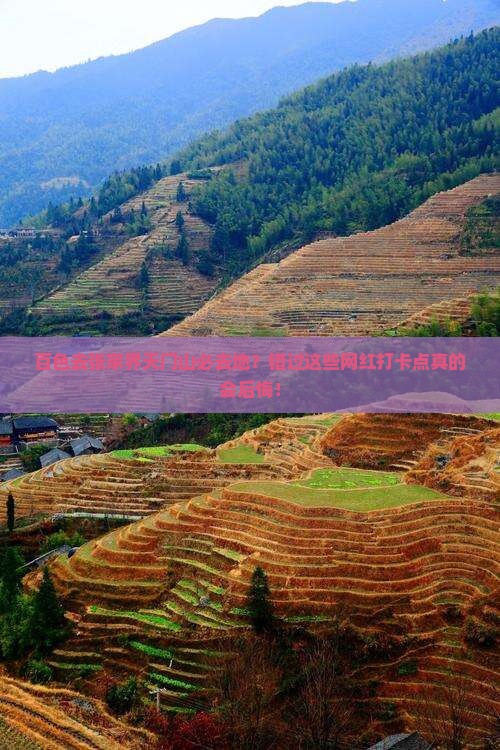 百色去张家界天门山必去地？错过这些网红打卡点真的会后悔！