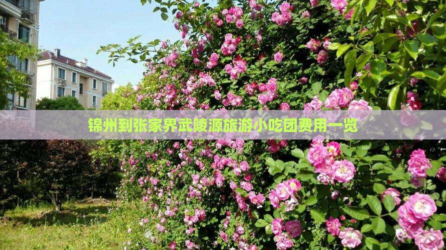锦州到张家界武陵源旅游小吃团费用一览