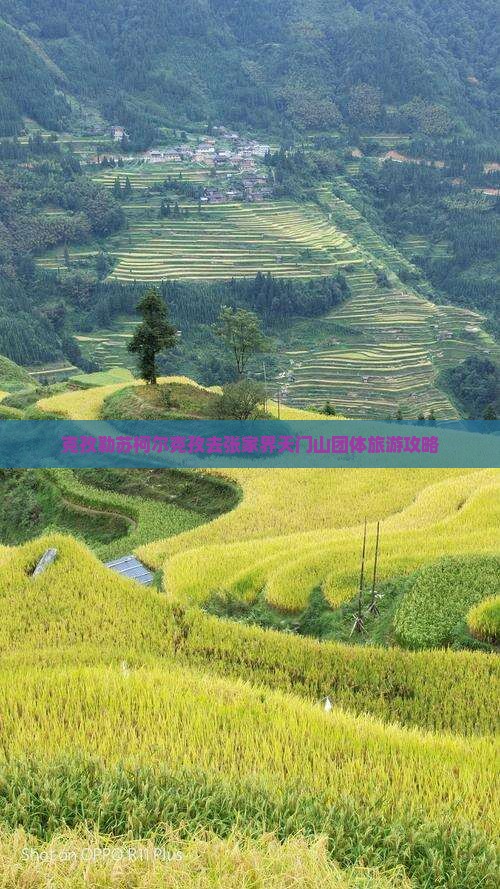 克孜勒苏柯尔克孜去张家界天门山团体旅游攻略