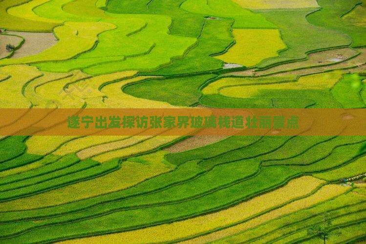 遂宁出发探访张家界玻璃栈道壮丽景点