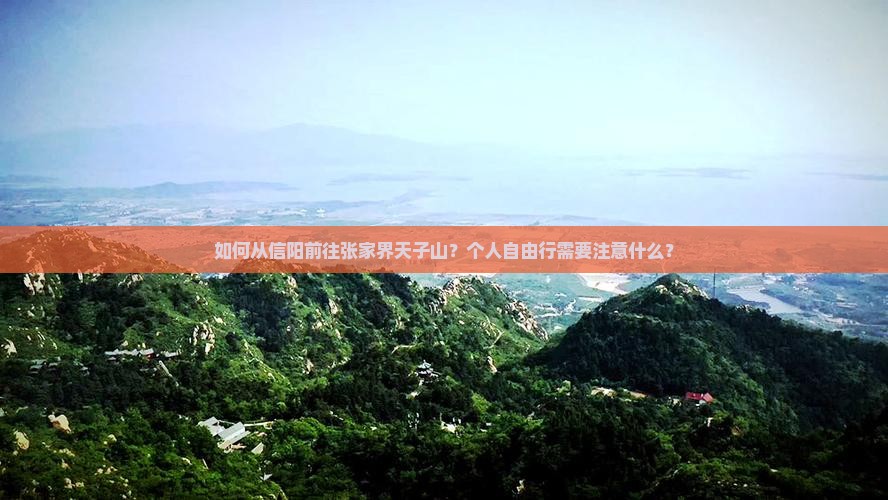 如何从信阳前往张家界天子山？个人自由行需要注意什么？