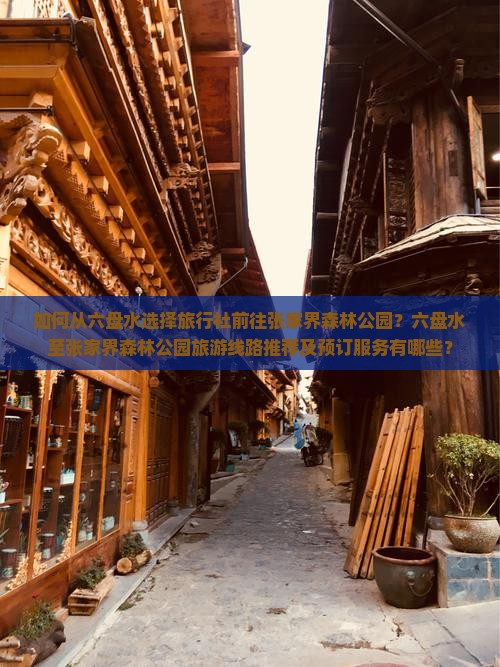 如何从六盘水选择旅行社前往张家界森林公园？六盘水至张家界森林公园旅游线路推荐及预订服务有哪些？