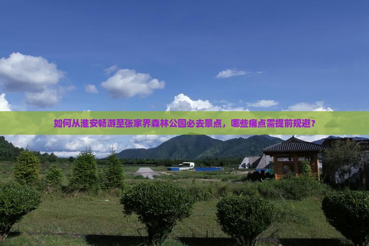 如何从淮安畅游至张家界森林公园必去景点，哪些痛点需提前规避？