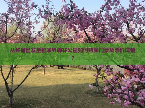 从许昌出发至张家界森林公园如何购买门票及票价详情？