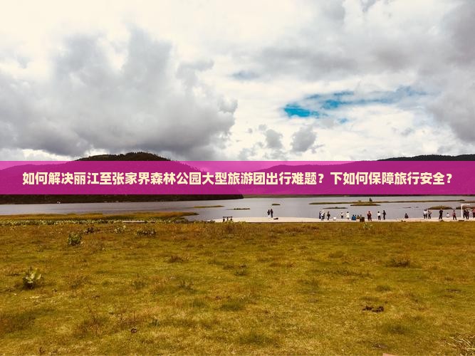 如何解决丽江至张家界森林公园大型旅游团出行难题？下如何保障旅行安全？