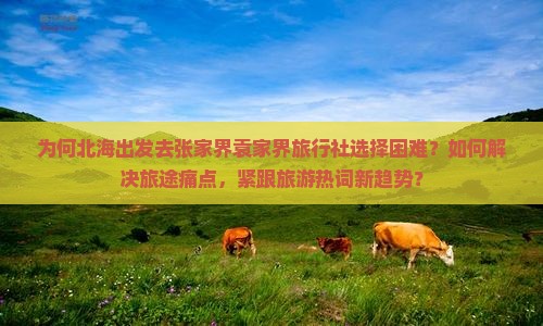 为何北海出发去张家界袁家界旅行社选择困难？如何解决旅途痛点，紧跟旅游热词新趋势？