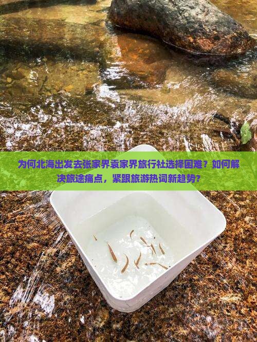 为何北海出发去张家界袁家界旅行社选择困难？如何解决旅途痛点，紧跟旅游热词新趋势？