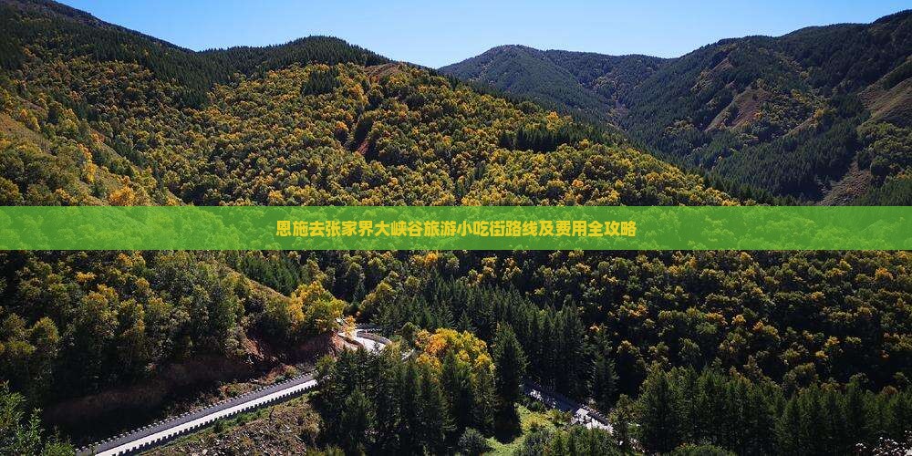 恩施去张家界大峡谷旅游小吃街路线及费用全攻略