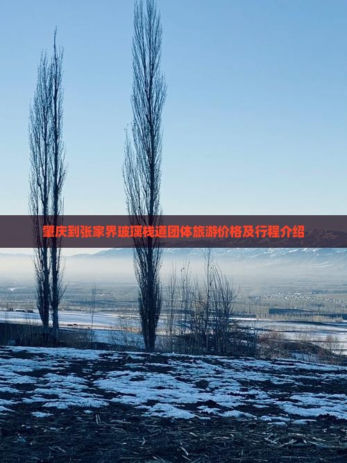肇庆到张家界玻璃栈道团体旅游价格及行程介绍