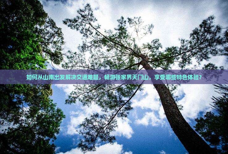 如何从山南出发解决交通难题，畅游张家界天门山，享受哪些特色体验？