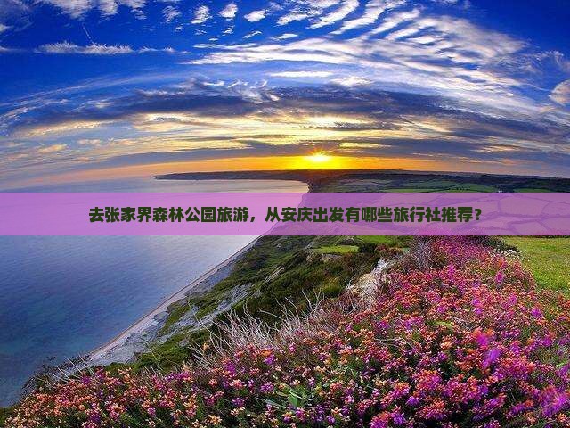 去张家界森林公园旅游，从安庆出发有哪些旅行社推荐？