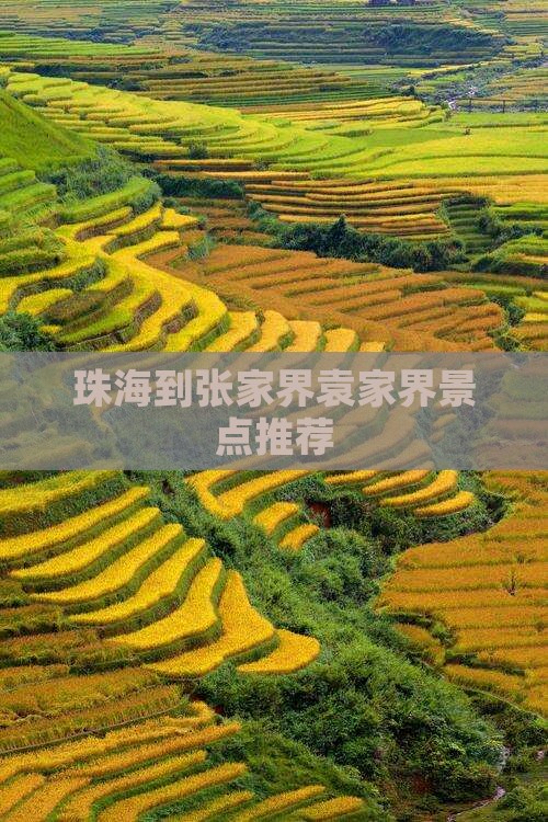 珠海到张家界袁家界景点推荐