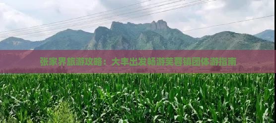 张家界旅游攻略：大丰出发畅游芙蓉镇团体游指南